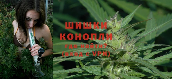spice Нязепетровск